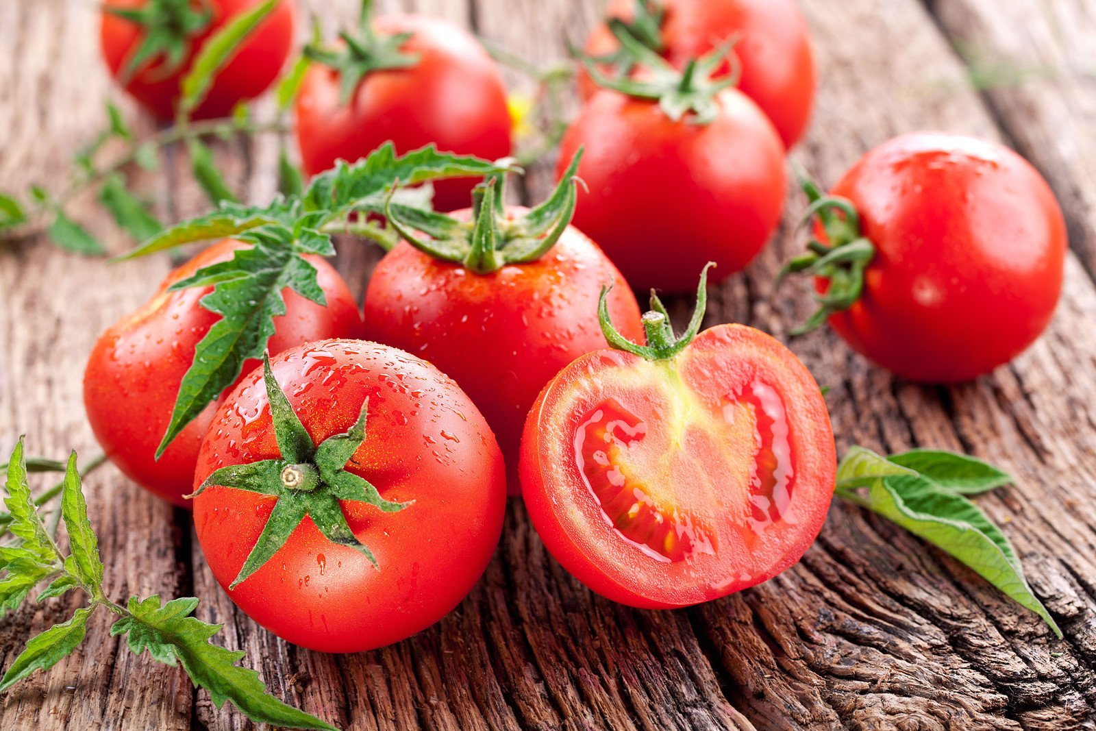 Hàm lượng dinh dưỡng trong cà chua