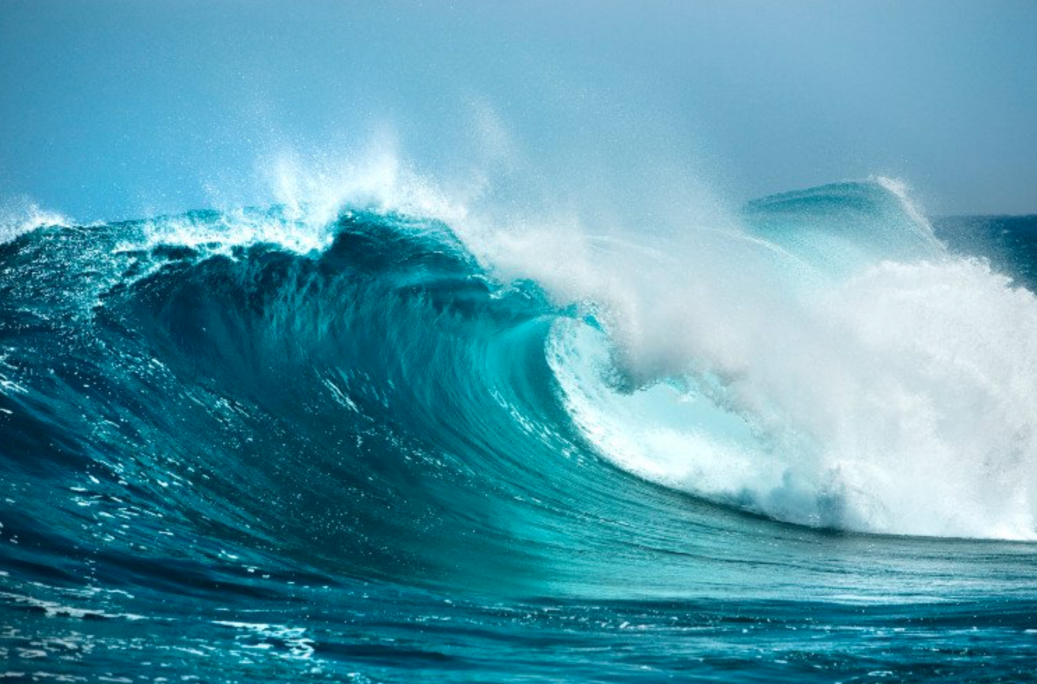 Các đại dương đang ở trong “vòng xoáy tử thần”
