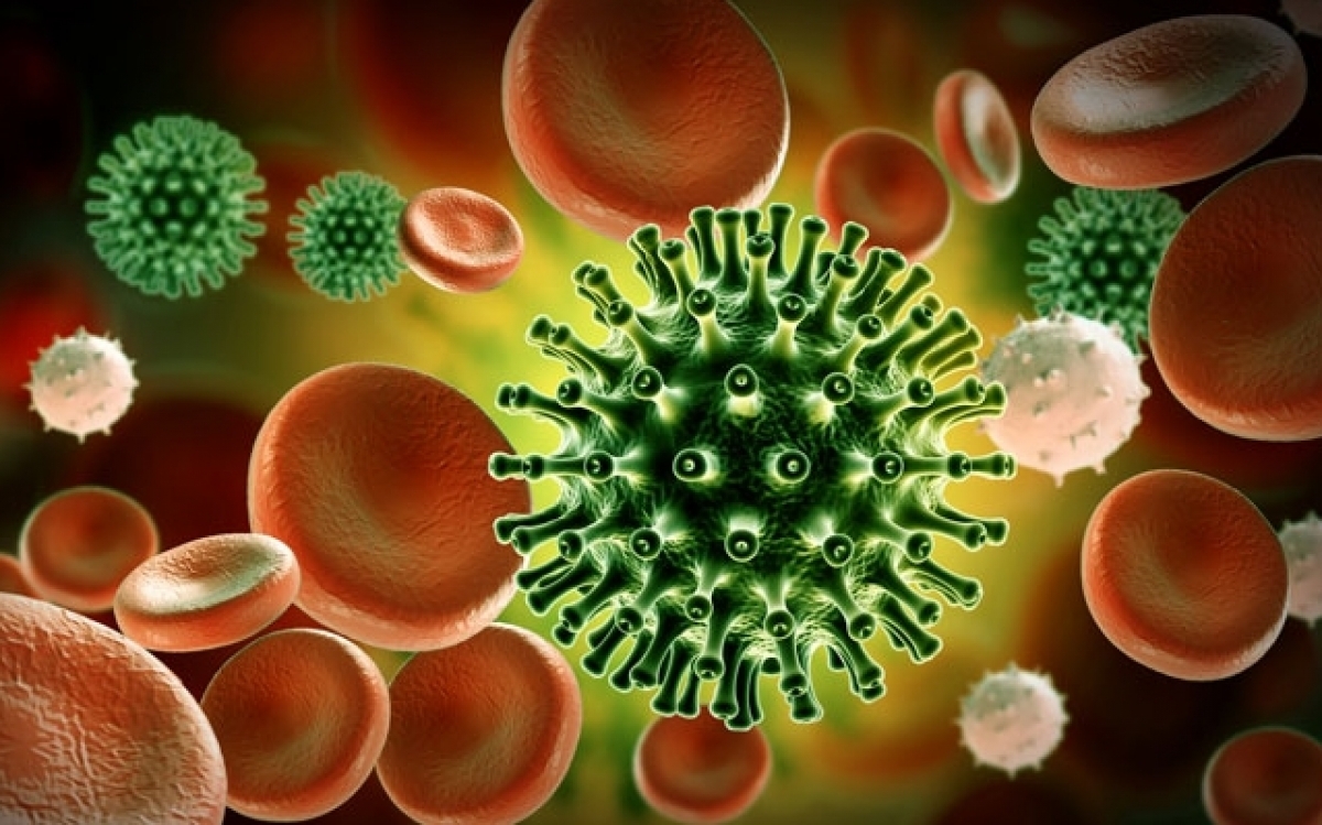 Virus SARS-CoV-2 thích nghi lý tưởng với cơ thể người.