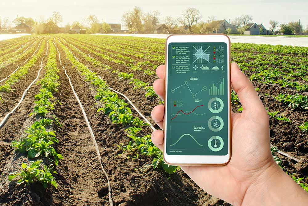 Nông nghiệp công nghệ cao giúp canh tác dễ dàng
